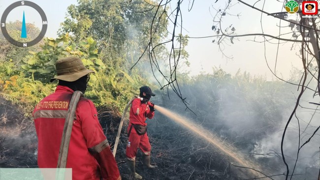 Sekolah Diliburkan Akibat Kabut Asap Karhutla, MBG Tetap Jalan?
