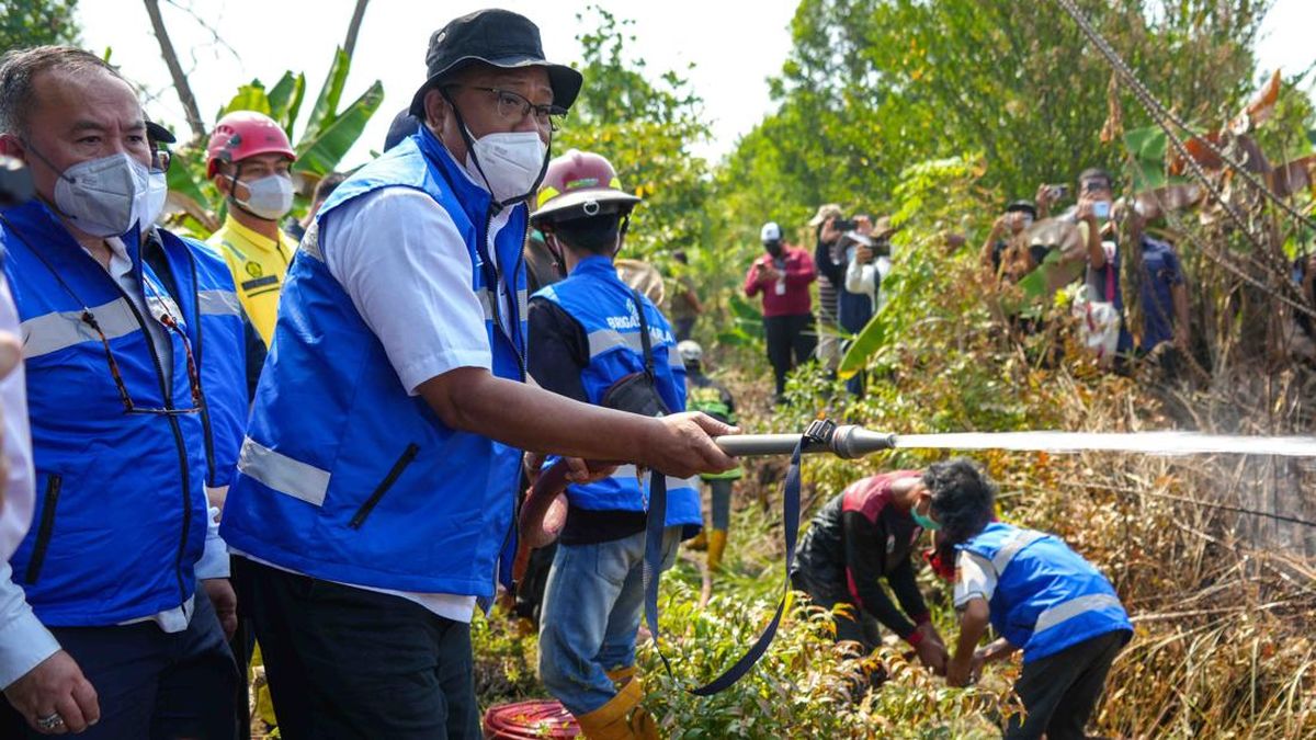 Menteri LH Tinjau Karhutla di Kalsel, Pastikan Pelaku Ditindak Tegas
