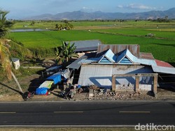 Kemenkes Bakal Beri Layanan Kesehatan Mental, Bantu Pulihkan Trauma Korban Gempa NTT