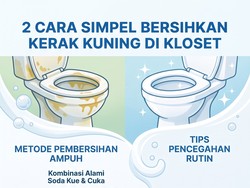 2 Cara Simpel Bersihkan Noda Kerak Kuning di Kloset