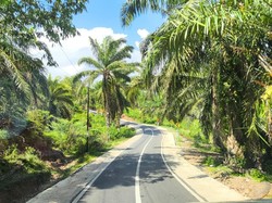 Gubernur Bengkulu Kucurkan Rp 587 Miliar untuk Perbaiki Jalan Provinsi