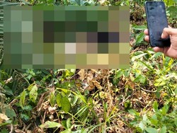 Pria Diduga Maling Sawit di Muba Tewas dengan Leher Putus, Pelaku Ditangkap