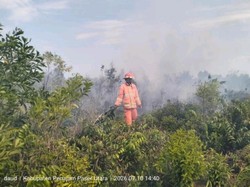 IKN Dikepung Karhutla, Wilayah Penyangga Terus Dilanda Kebakaran