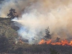 Puncak Papua Tengah Status Tanggap Darurat Kebakaran-Hujan Es Selama 14 Hari