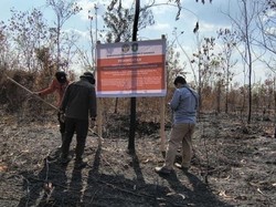 Karhutla Seluas 1.358 Ha, 4 Perusahaan di Kalbar Kena Sanksi Kemenhut