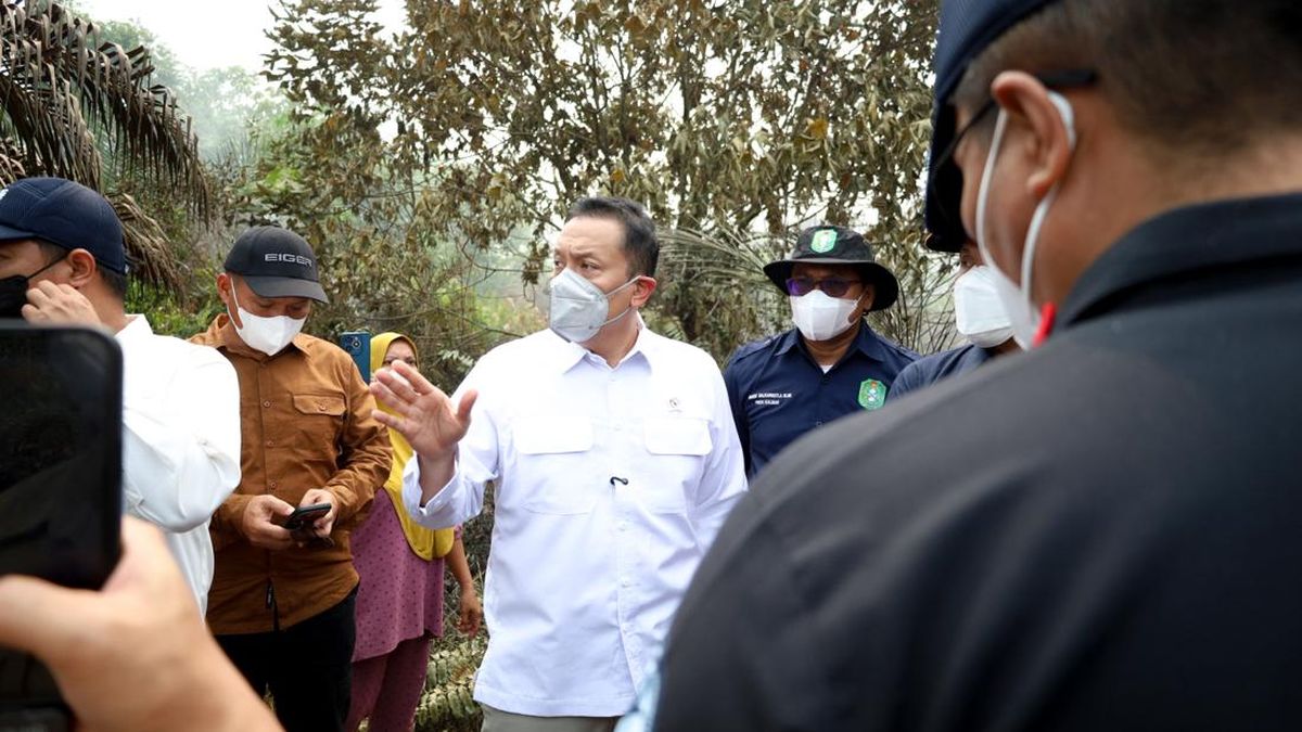 Wamen LH Dorong Swasta Bangun Sekat Kanal Atasi Karhutla di Kalbar