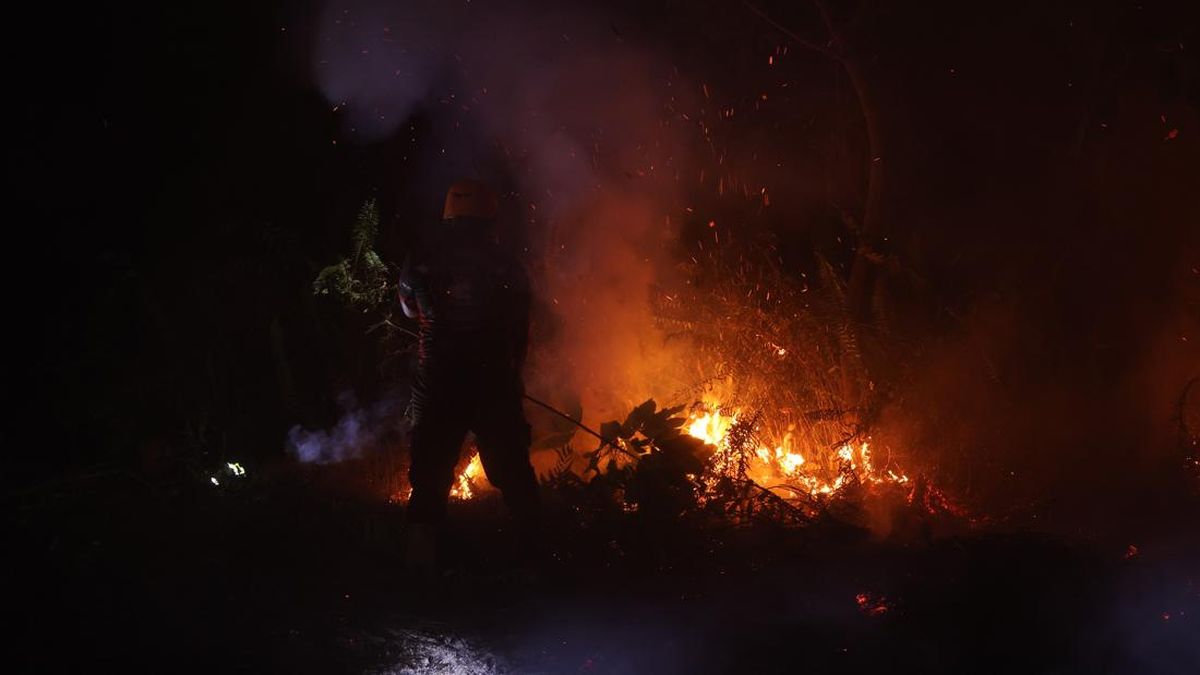 BNPB: 30 Titik Api Masih Menyala di Kalimantan Barat