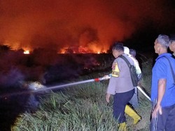 Karhutla Membara di Desa Sponjen Muaro Jambi