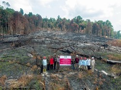 Karhutla Bakar 70,38 Hektare, PT NES di Kalteng Kena Sanksi Kemenhut