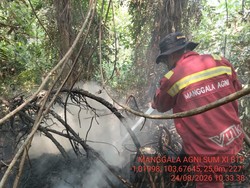 2 Titik Lahan Gambut di Tanjabtim Masih Terbakar, Pemadaman Dioptimalkan