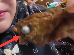 Benda Diduga Peluru Ada di Daging Menu MBG Siswa SD Lampung Utara
