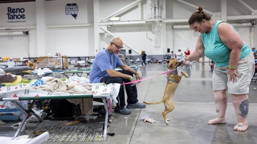 David Kuns dan Karen Abbey berbareng anjing mereka, Willow, di Reno-Sparks Convention Center setelah mengungsi dari rumah mereka di Cold Springs pada 22 Agustus akibat kebakaran rimba Hawk, di Reno, Nevada, AS, 24 Agustus 2026. (REUTERS/Nikki Ritcher)
