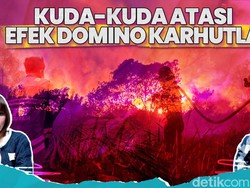 Menakar Efek Domino Karhutla