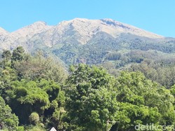 Jalur Pendakian Merbabu Via Thekelan Ditutup Selama September 2026