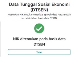 Panduan Pembaruan Desil DTSEN dan Cara Ceknya di dtsen-form.bps.go.id