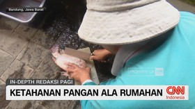 Ketahanan Pangan ala Rumahan