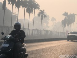 Kalsel Belum Pulih: Kualitas Udara Berbahaya, Paling Parah Pukul 9 Pagi