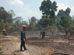Warga Lamsel Lalai Bakar Sampah Akibatkan 1,5 Hektare Lahan Hangus