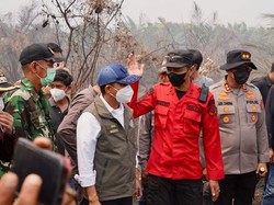 Tiga Perusahaan di Jambi Diselidiki Terkait Karhutla