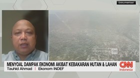 Menyoal Dampak Ekonomi Akibat Kebakaran Hutan & Lahan