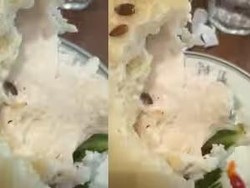 Ngeri! Ada Cacing di Pesanan Sandwich Restoran Ternama