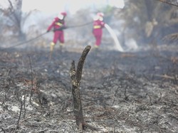 BRIN Uji Teknologi Berbasis Pati Singkong Bantu Padamkan Karhutla