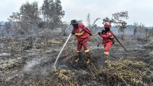 Karhutla di Tanjung Jabung Timur