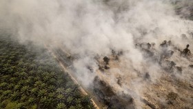 Foto udara asap membumbung saat terjadi kebakaran hutan dan lahan (karhutla) di lahan gambut Desa Rawasari, Tanjung Jabung Timur, Jambi, Rabu (26/8/2026). Upaya pemadaman di lahan gambut yang terjadi sejak Selasa (25/8) sore dan telah menghanguskan 7