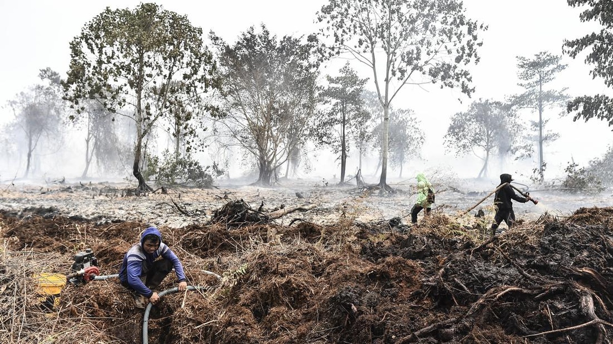 Sisi Lain Petani Jambi yang Tersangka Karhutla