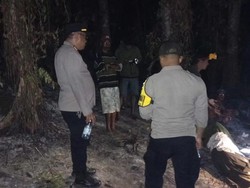 Pria Lansia di Maluku Ditemukan Tewas Usai Kebun Cengkih Terbakar