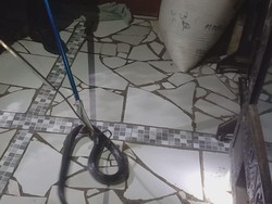 Desis Ular Kobra Jawa di Rumah Guru Ngaji Kuningan