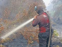 900 Ha Lahan di Kerumutan Terbakar, Tim Gabungan Berjibaku Pemadaman