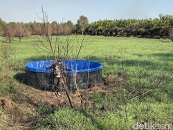 Atasi Karhutla, Kolam Bioflok Milik Polda Kalsel Jadi Penampungan Air