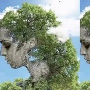 Tes Kepribadian: Pohon atau Wajah Perempuan yang Pertama Kamu Lihat? Ini Artinya...