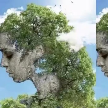 Tes Kepribadian: Pohon atau Wajah Perempuan yang Pertama Kamu Lihat? Ini Artinya...