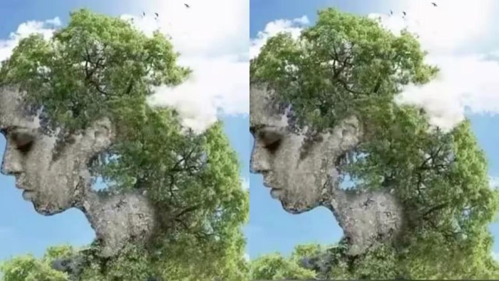 Tes Kepribadian: Pohon atau Wajah Perempuan yang Pertama Kamu Lihat? Ini Artinya...