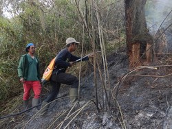 Hutan di Ranu Kembang Kebakaran, Pendakian Gunung Semeru Ditutup Total