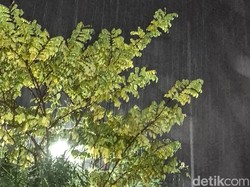 Tarakan Diguyur Hujan 2 Hari, Titik Panas di Kaltara Turun Signifikan