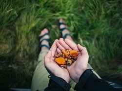 3 Snack untuk Naik Gunung, Praktis Dibawa dan Temani Pendakian