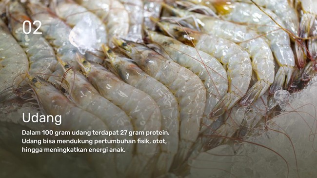 INTIP: Rekomendasi Protein Hewani & Nabati untuk Menu MPASI