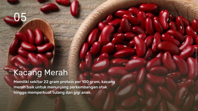 INTIP: Rekomendasi Protein Hewani & Nabati untuk Menu MPASI