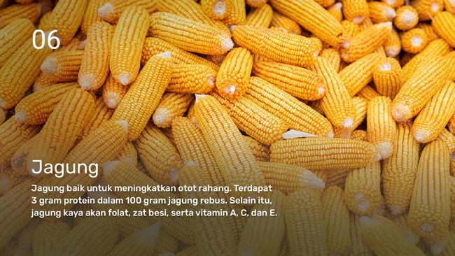 INTIP: Rekomendasi Protein Hewani & Nabati untuk Menu MPASI