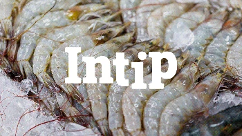 INTIP: Rekomendasi Protein Hewani & Nabati untuk Menu MPASI