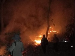5 Karhutla Melanda Ponorogo dalam Sehari, 6,1 Hektare Lahan Terbakar