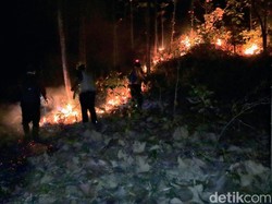 Asap Karhutla di Ponorogo Mengarah ke Rumah Warga
