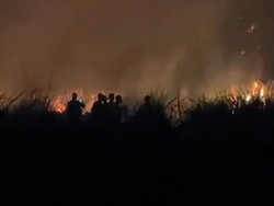 Kebakaran di Way Kambas Belum Padam, Proses Pemadaman Masih Berlangsung