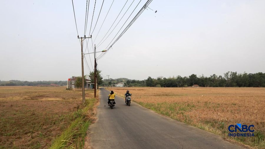 Kekeringan lahan pertanian di Jonggol, Kab Bogor, Jawa Barat, Kamis, (27/8/2026).