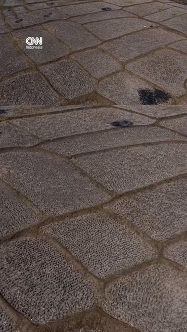 Kekeringan Landa Sawah di Jawa Barat, Lahan Retak dan Mengering