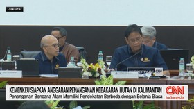 Kemenkeu Siapkan Anggaran Penanganan Kebakaran Hutan di Kalimantan