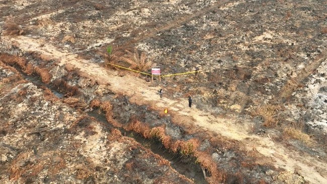 42 Perusahaan Diduga Dalang Karhutla, Ratusan Personel Terjun Selidiki